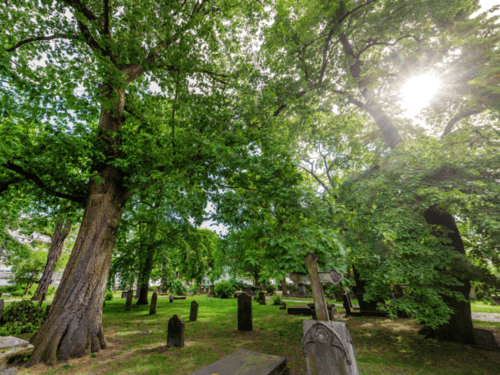 Gartenfriedhof